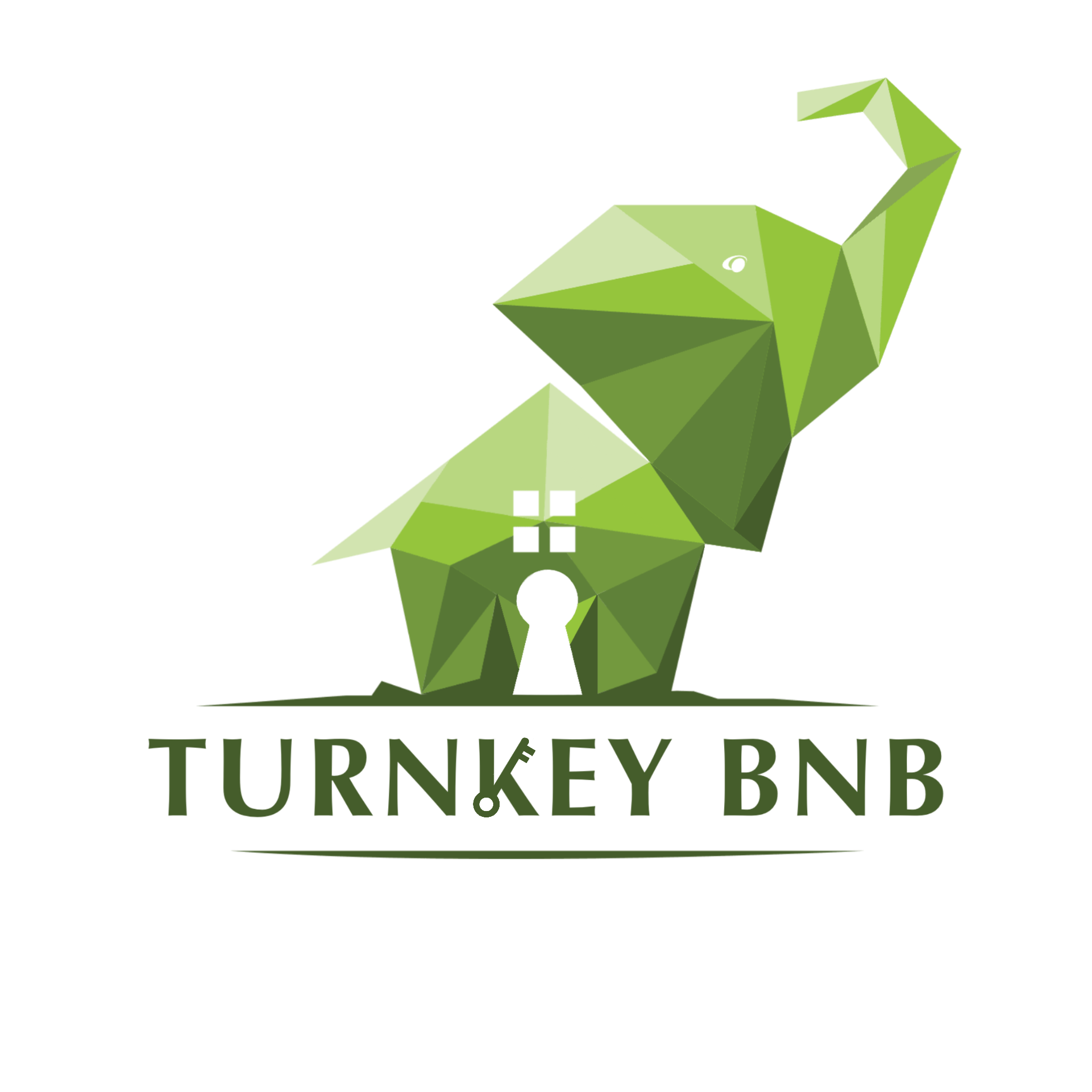 TurnKey Rentals